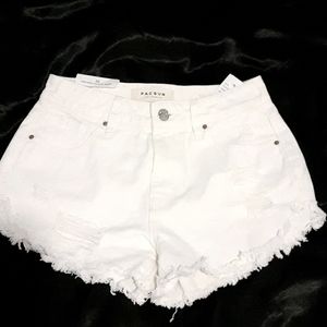 💐💫 Brandnew High Rise festival shorts